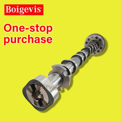 Shanghai Volkswagen Lingdu 2015-2022 Camshaft Asupan 06J109022AG