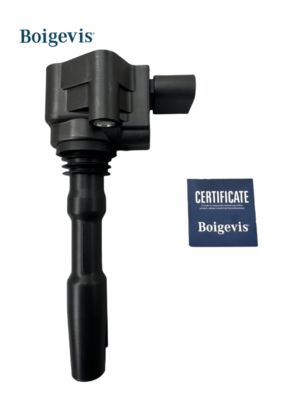 079905110J Koil Pengapian untuk VW AUDI A6 VAG SEAT SKODA BENTLEY