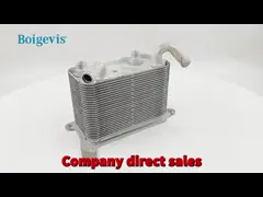 3D0409061G Original Auto Parts Transmission Oil Radiator Cooler Kompatibel 6.0L W12 2004-2006 3D0409061 G